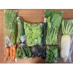 [ нет удобрение * природа культивирование ] столица. овощи комплект. спот покупка [v4000]