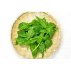 [ нет удобрение * природа культивирование ] сладкий базилик [ Tokushima префектура :. волна tsukyomi ферма san ][v300]*9/12( золотой ) отправка минут 