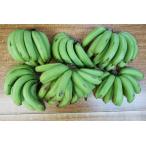 [ нет удобрение * природа культивирование ] Mini banana 5kg Toro  делать . толщина ...[ Okinawa префектура : Yamamoto .. san ][ бесплатная доставка ]*10/26( месяц ) поступление предположительно 