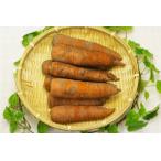 [ нет удобрение * природа культивирование ] человек Gin 1kg[ Hokkaido :. глициния сельское хозяйство . san ][v1000]