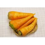 [ нет удобрение * природа культивирование ] фиксация вид чёрный рисовое поле три размер человек Gin 1kg[ префектура Аичи :.. ферма ][v1000]*11/14( дерево ) поступление предположительно 