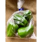 [ нет удобрение * природа культивирование ] зеленый паприка [ Kyoto (столичный округ) : средний . большой .][v400]*8/8( золотой ) отправка минут 