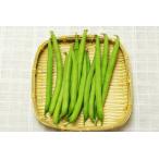 [ нет удобрение * природа культивирование ] фасоль обыкновенная [ Tokushima префектура :. волна tsukyomi ферма ][v300]*6/27( золотой ) отправка минут 