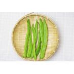 [ нет удобрение * природа культивирование ] flat Saya фасоль обыкновенная [ Nagano префектура : вода колесо натуральный ферма ][v400]*8/19( огонь ) отправка минут 