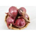 [ нет удобрение * природа культивирование ] красный шар лук порей примерно 1kg[ Hyogo префектура : цветок холм сельское хозяйство .. san ][v1000]