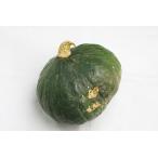 [ нет удобрение * природа культивирование ] юг .( can Lee 2 номер ) ho k ho k. каштан. подобный юг .[ Yamanashi префектура :. часть сельское хозяйство место ][v1500]