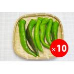 [ нет удобрение * природа культивирование ] десять тысяч . храм перец стручковый примерно 120g×10 пакет [ Kyoto (столичный округ) : средний . большой . san ][v4000]