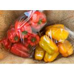 [ нет удобрение * природа культивирование ] паприка примерно 1kg[ Kyoto (столичный округ) : средний . большой .][v1500]*8/16( вода ) поступление минут поэтому есть перевод цена 