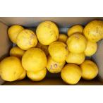 【無肥料・自然栽培】