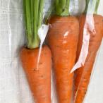 [ нет удобрение * природа культивирование ] лист имеется человек Gin [ Hyogo префектура : цветок холм сельское хозяйство ..][v400]*6/13( золотой ) отправка минут 