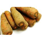 [ нет удобрение * природа культивирование ] человек Gin 1kg[ Hokkaido : средний запад . 2 ][v1000]