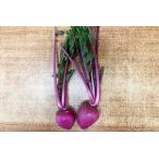 [ нет удобрение * природа культивирование ] красный маленький ..[ Kyoto (столичный округ) : средний . большой . san ][v400]*1/23( золотой ) отправка минут 