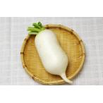 [ нет удобрение * природа культивирование ]. тест дайкон udon . соба *. кастрюля. приправа .[ Wakayama префектура : изначальный Chan ферма ]