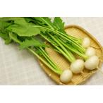 [ нет удобрение * природа культивирование ] маленький ..[ Tokushima префектура :. лист сельское хозяйство .]