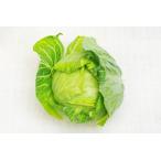 [ нет удобрение * природа культивирование ] весна капуста [ Tokushima префектура :. волна tsukyomi ферма ][v1200]*5/24( золотой ) поступление предположительно 