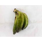 [ нет удобрение * природа культивирование ] серебряный banana примерно 500g(4~6шт.@) Toro  делать . толщина ...[ Okinawa префектура : Yamamoto .. san ][v600]