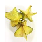 [ нет удобрение * природа культивирование ] карамбола 500g автомобиль li как груша. подобный тест .. звезда type Nankoku фрукты [ Okinawa префектура : Yamamoto .. san ]