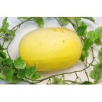 [ нет удобрение * природа культивирование ] вермишель тыква ( золотой нить .)[ Gifu префектура :.... san ]