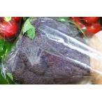 [ нет удобрение * природа культивирование ] фиолетовый брокколи 1 АО [ Tokushima префектура :. волна tsukyomi ферма ][12 месяц 29 день ( золотой ) поступление минут ]