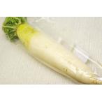 [ нет удобрение * нет пестициды культивирование ] дайкон [ Kyoto (столичный округ) :... flat ][v500]*6/21( золотой ) отправка минут 