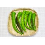 [ нет удобрение * природа культивирование ] десять тысяч . храм перец стручковый [ Nagano префектура : вода колесо натуральный ферма ][v400]*9/30( огонь ) отправка минут 