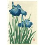 F183菖蒲 2　花版画 Flower Woodcut ‐Iris
