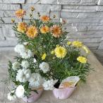  Margaret ma-mare-do суфле 3.5 размер pot 