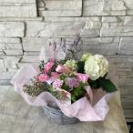 【母の日におすすめ】紫陽花とカーネーションの寄せ鉢