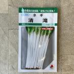 [ овощи семена ] лук-батун Kiyoshi .7ml