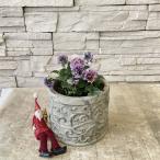  оборка .. анютины глазки s катушка гонг nju керамика растение в горшке 