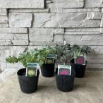  лист ..( крепдешин лист ) можно выбрать!2 цвет 3 размер pot 