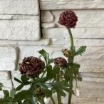 la наан kyulas rouge rouge 