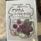  allium лиловый sense-shon4.5 размер pot 