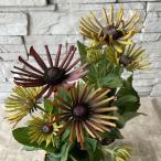 �G�L�x�L�A�@�G���N�g���@�V���b�N 3.5���|�b�g