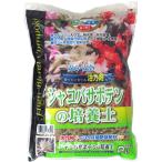 SCGシャコバサボテンの培養土　約2L