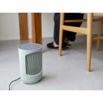 【Duux/デュクス】即暖ミニセラミックファンヒーター zone セージグリーン