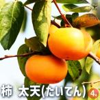 柿太天
