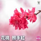 商品画像2