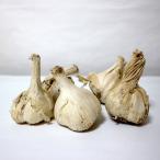  белый шесть одна сторона чеснок вид луковица [ овощи луковица . лампочка 5 лампочка комплект ]