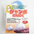  jumbo чеснок [ овощи луковица заполнение час 200g|1 шт продажа ]