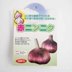  красный чеснок [ овощи луковица 10 одна сторона |1 шт продажа ]