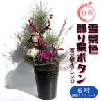 お正月飾り 迎春雪景色アレンジ【花苗 6号／1個売り】