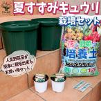 栽培セット夏すずみキュウリ