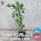 商品画像3