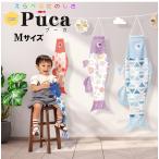 [ коинобори ] салон коинобори Puca( Pooh ka) новый модель *M размер ( Tokunaga koinobori )