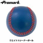 PROMARK ( Pro Mark ) вес футболка мяч 350g WB-2272