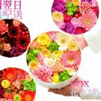商品画像2
