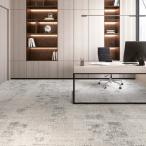 ショッピングスマートガーデニング カーペットタイル サンゲツ DT-7850 F-eco ムーンロード F 4色 DT-78502〜DT-78506 2023-2026 DT （販売単位：ケース）