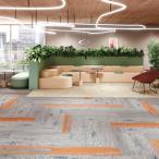 カーペットタイル サンゲツ DT-7600 F-eco/DT-7610 F-eco アースパレットプランク・ベース F/カラーF 3色 DT-50401〜DT-50403 2023-2026 DT （販売単位：ケース