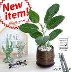 ベンガルゴムウッド風ペイント陶器鉢...